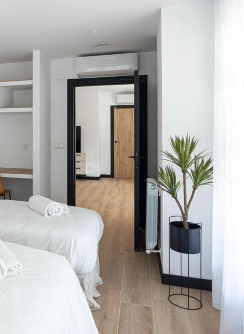 Donostia Rooms サン・セバスティアン エクステリア 写真